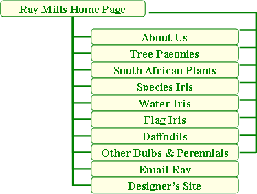 Ray Mills Web Site Map